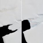 A Changing World for Emperor Penguins - NASA Science (.gov)