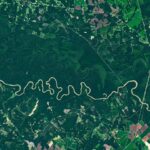 The Forested Floodplains of Congaree National Park - NASA Science (.gov)