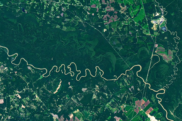 The Forested Floodplains of Congaree National Park - NASA Science (.gov)
