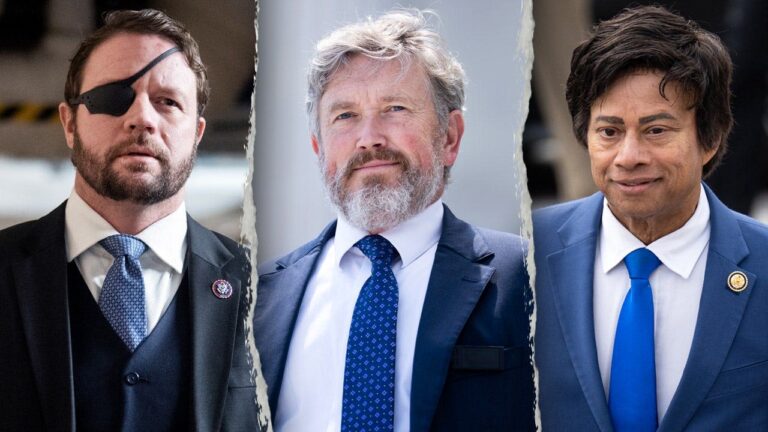 10 House incumbent lawmakers who saw their 2026 re-election bids end in primary defeat - Fox News