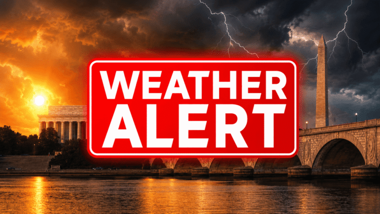 WEATHER ALERT: Severe thunderstorm watch until 9 PM, plan for gusty winds, heavy rain - WJLA