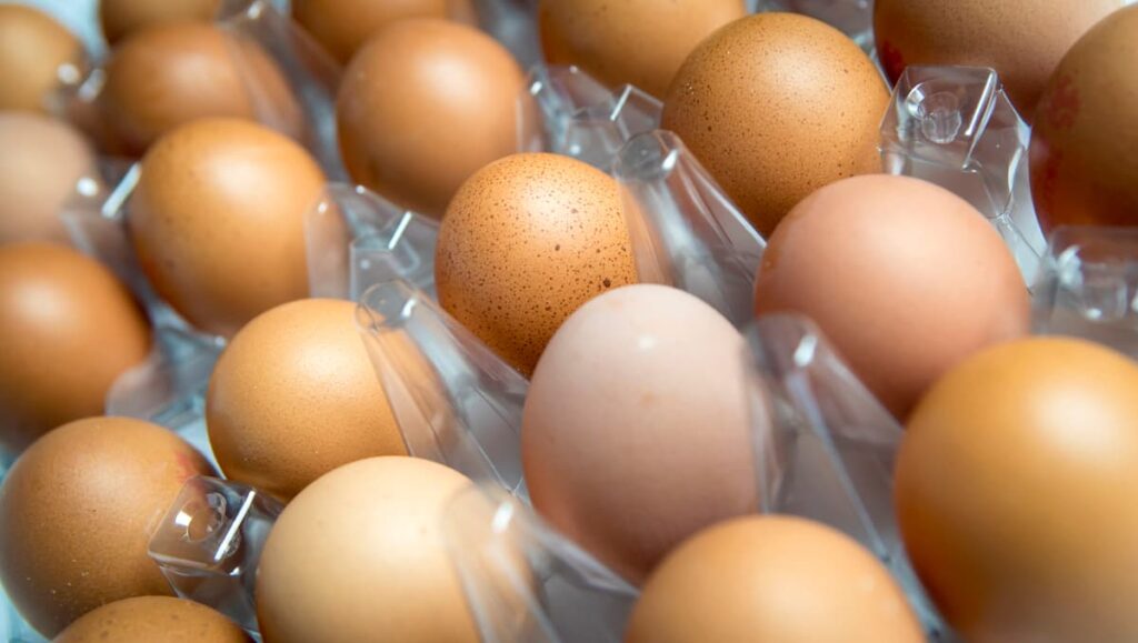 One dead and hundreds ill in UK salmonella outbreak as London suffers highest number of cases - London Evening Standard