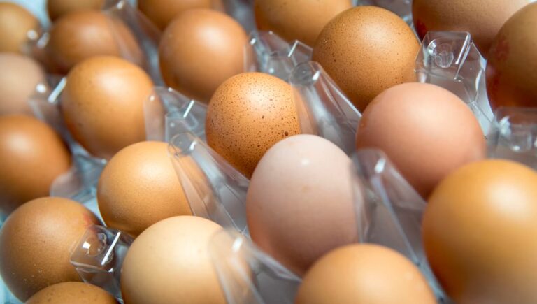 One dead and hundreds ill in UK salmonella outbreak as London suffers highest number of cases - London Evening Standard