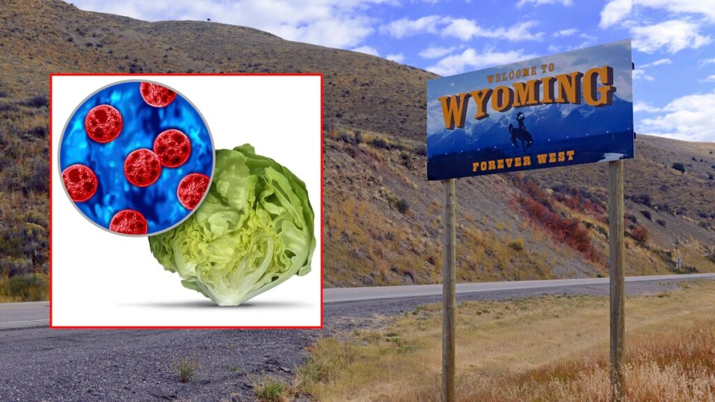 'Explosive Diarrhea' Cases In Wyoming Triple In A Month And Hospitalized Three - Cowboy State Daily