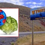 'Explosive Diarrhea' Cases In Wyoming Triple In A Month And Hospitalized Three - Cowboy State Daily