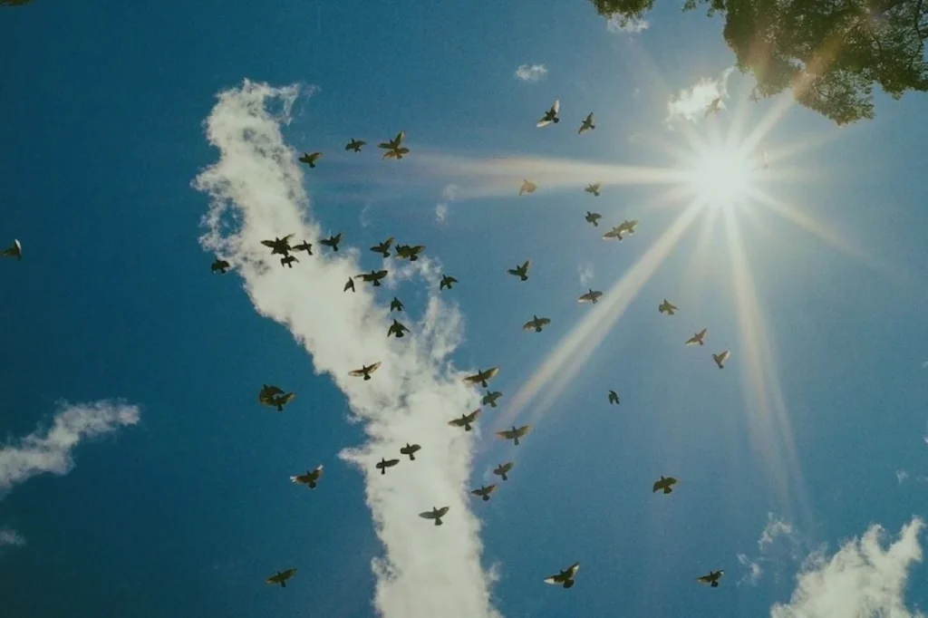 Flock Safety Platform Privacy Changes cut default ALPR retention to 7 days - El-Balad.com