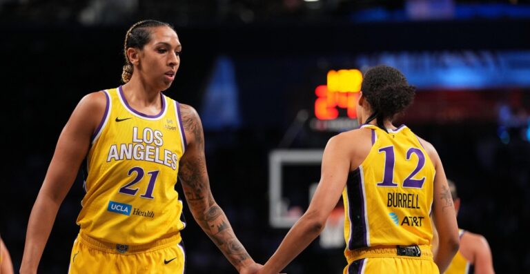 The Indiana Fever just signed another key player - SB Nation