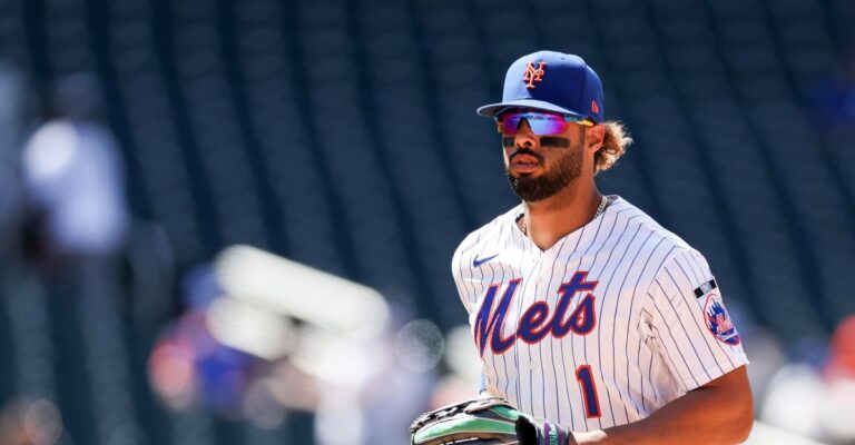 Mets recall Robert Stock and Bryce Conley, DFA Kevin Herget and MJ Melendez - Amazin' Avenue