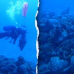 Divers uncover mysterious shipwreck loaded with ancient cargo lost for 2,400 years - Fox News