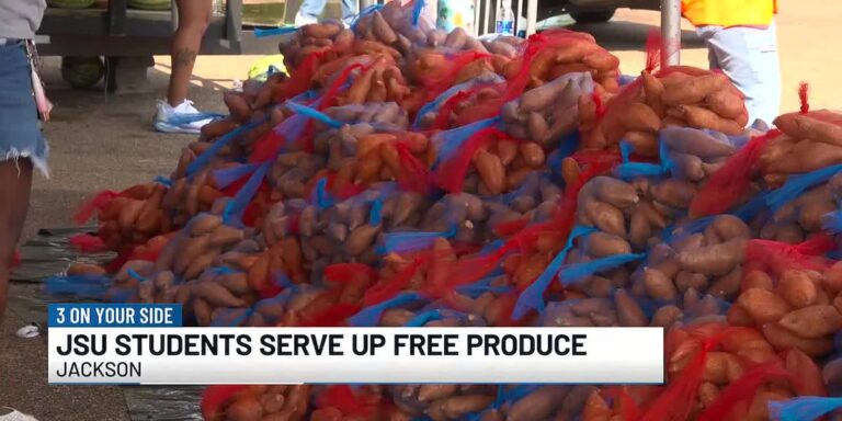 Jackson State Tigers kick off welcome week by feeding the capital city - WLBT