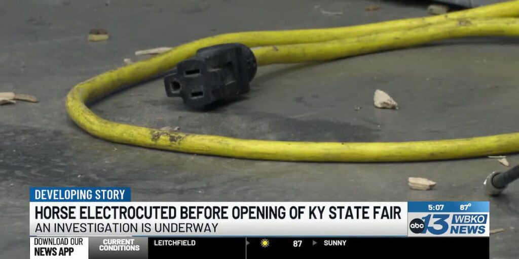 Horse electrocuted at Kentucky State Fair; investigation underway - WBKO