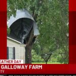 Strong winds damage Galloway Farm as thunderstorms move across southeastern NC - WECT | TV6
