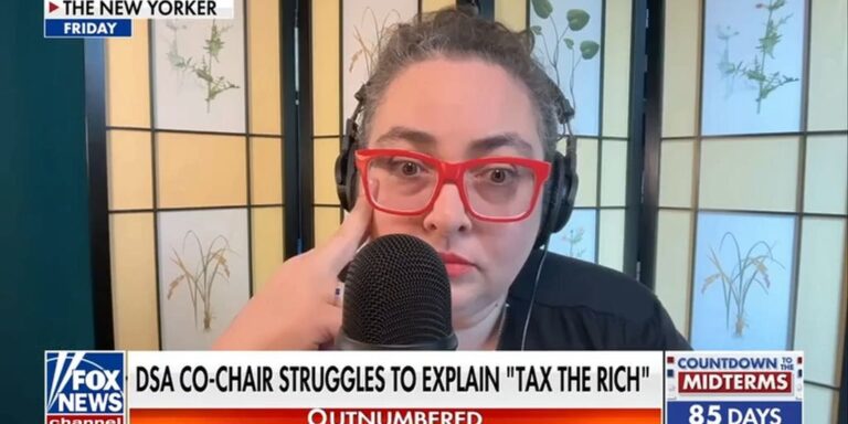 DSA co-chair struggles to explain millionaire tax policy - Fox News