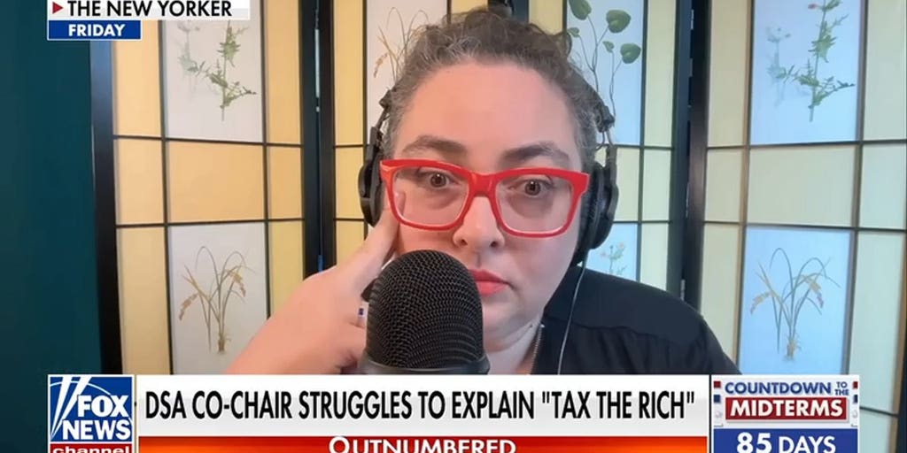 DSA co-chair struggles to explain millionaire tax policy - Fox News