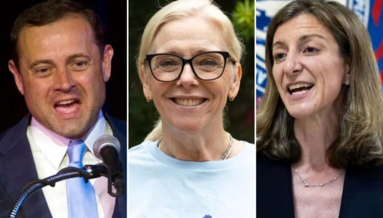 The Democrats hoping to flip Virginia's battleground House seats - Washington Examiner