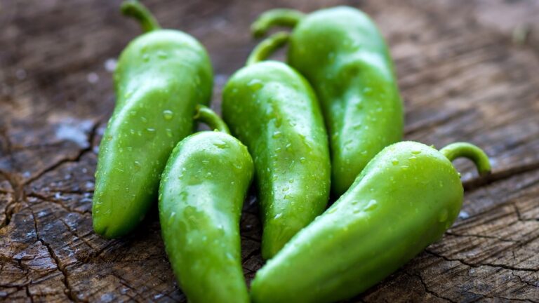 Salmonella outbreak linked to jalapenos served at Chipotle expands to Qdoba: FDA - Good Morning America