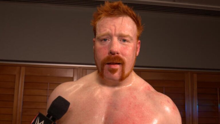 Former WWE Star Sheamus Offers Assessment Of Company's Next Big Stars - Wrestling Inc.