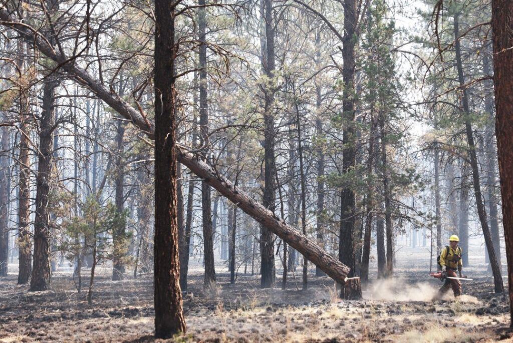 Daily Update: Akawa Butte Fire evacuations lifted for Deschutes and Jefferson counties - Madras Pioneer