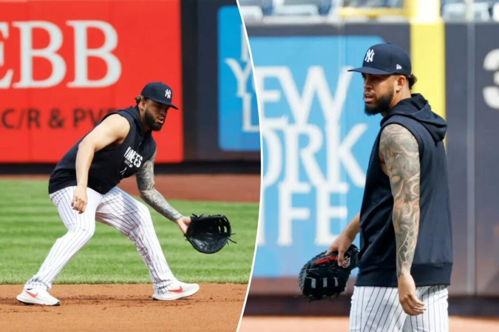 NYC native Luis Garcia Jr. living his Yankees dream after trade — but there’s a major power task - New York Post