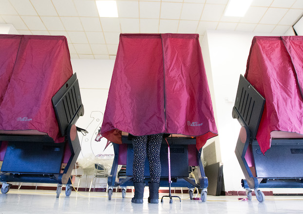 More than 200 offices set for Nov. 3 SW La. ballot - American Press