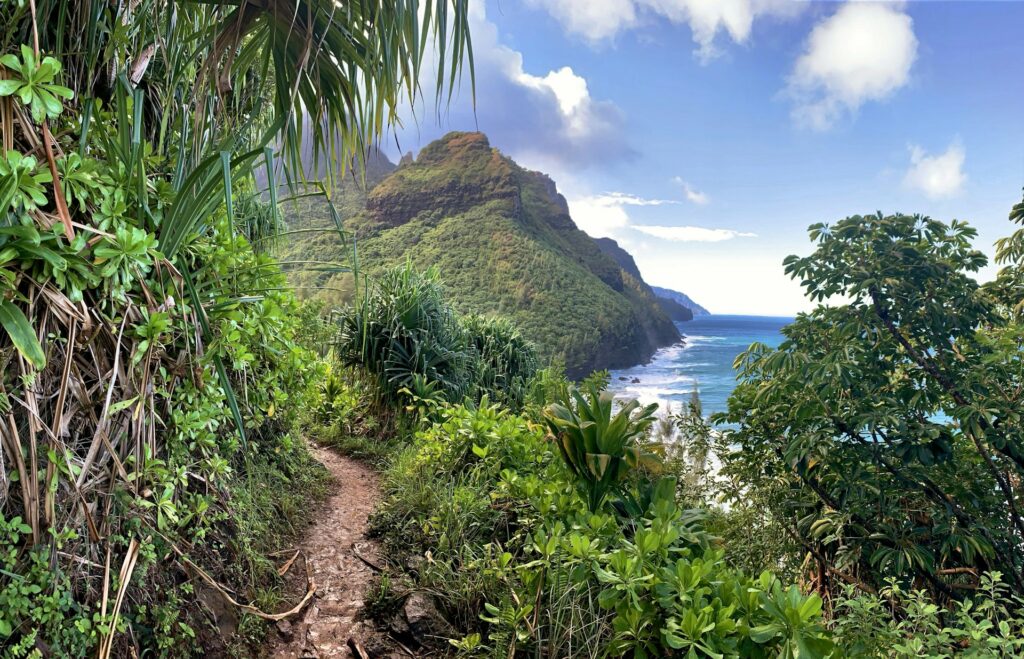 Kauai Weather Forecast for August 24, 2026 - Kauai Now