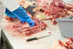 Trump is moving to let ranchers process their own meat, calling Big Four a monopoly - qz.com