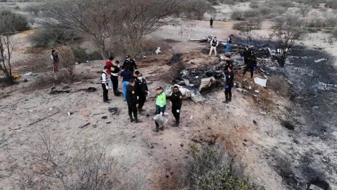 13 die as tourist plane crashes during Nazca Lines flight in Peru - The Business Standard
