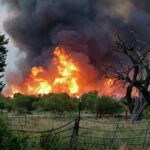 Ross Fire is now the 2nd largest in North Texas history. See live wildfire map - Austin American-Statesman