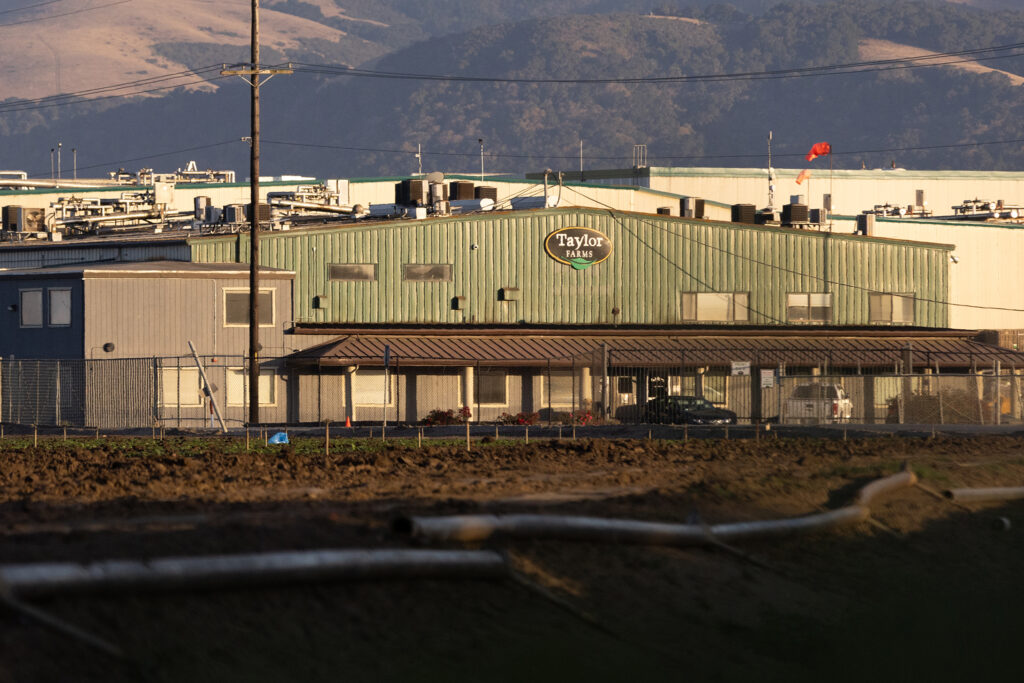 Taylor Farms says ex-president committed $32M fraud, including UC Berkeley gift - SFGATE