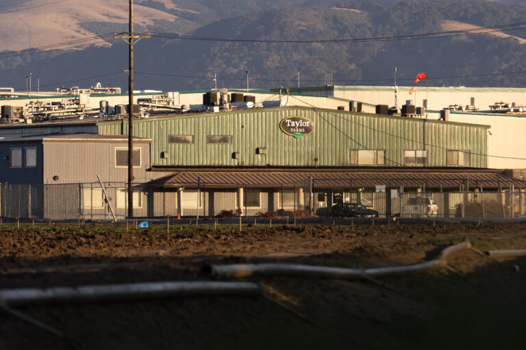 Taylor Farms says ex-president committed $32M fraud, including UC Berkeley gift - SFGATE