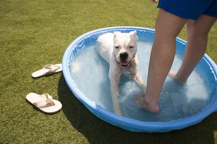 D-FW under extreme heat warning Tuesday amid blazing temps - Dallas News
