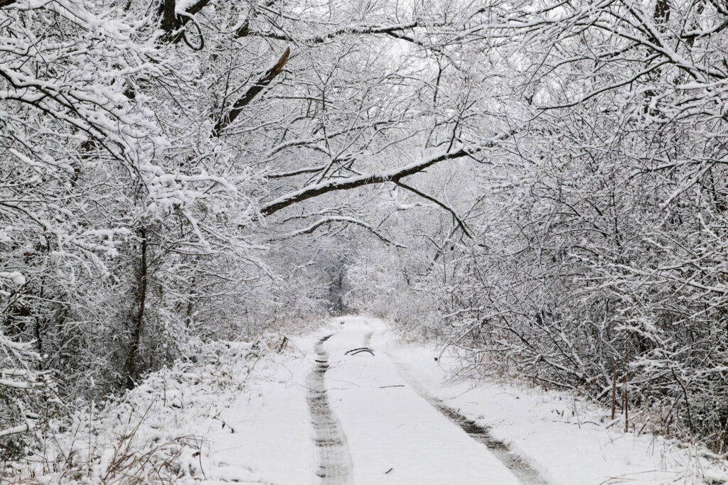 Here's what the Farmers' Almanac predicts this winter for Texas - Midland Reporter-Telegram