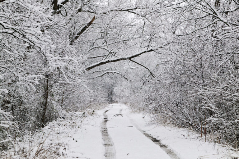 Here's what the Farmers' Almanac predicts this winter for Texas - Midland Reporter-Telegram