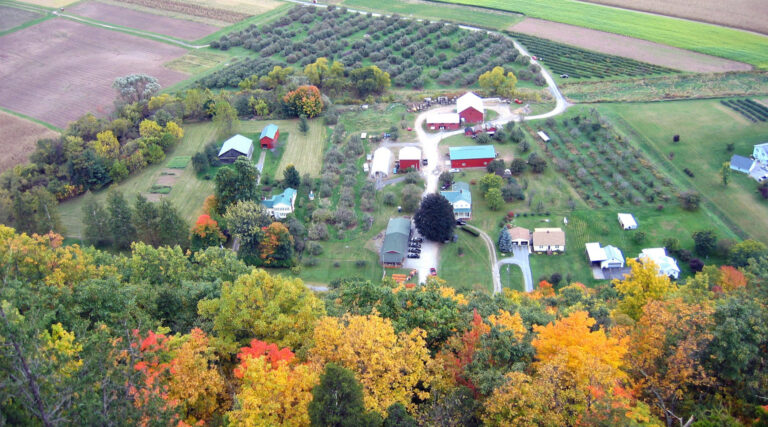 Apply for the $30 Million Tariff Relief Program Before August 11th - Morning Ag Clips