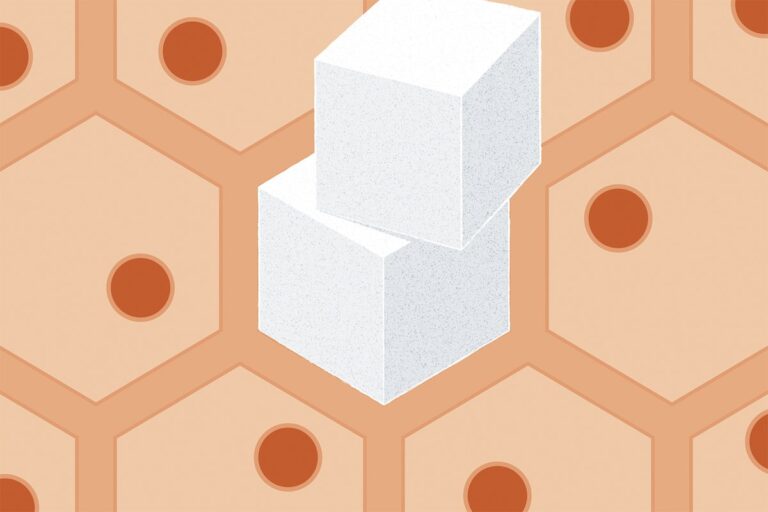 Popular drug metformin transforms your gut into a sugar sink - Scientific American