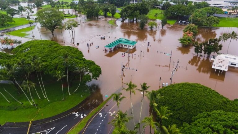Hurricane Lala downgraded after lashing Hawaii, causing one fatality, damage and power outages - KWXX - Hawaii