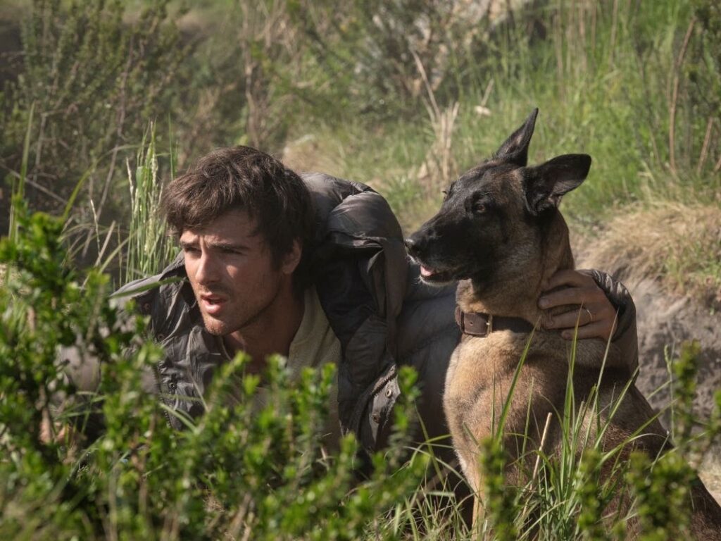 What To Watch This Weekend: 'The Dog Stars,' 'Finding Emily,' 'Buddy' And 'Coyote vs. Acme' - Patch