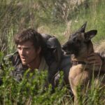 What To Watch This Weekend: 'The Dog Stars,' 'Finding Emily,' 'Buddy' And 'Coyote vs. Acme' - Patch