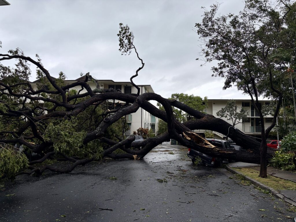 Lala’s Wrath: Homes Swept Away, Some Power Outages May Last Months - Honolulu Civil Beat