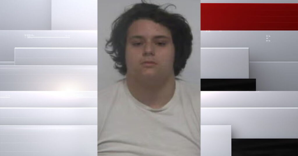 16-year-old gets 54 years in prison for assault of nonverbal child on bus - WRTV
