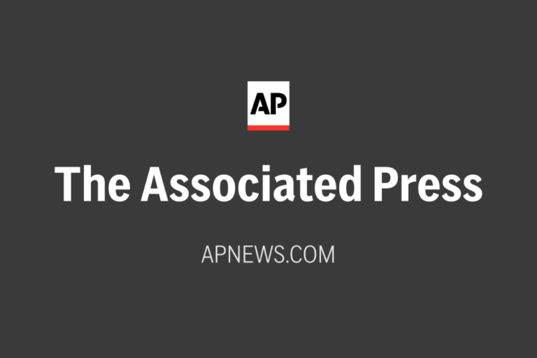 Kurdish-led group in Syria says it has dissolved after merging with the army - AP News