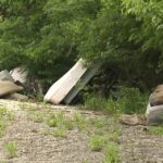 Illegal dumping in Clay County costs taxpayers money, frustrates homeowners - KSHB 41 Kansas City