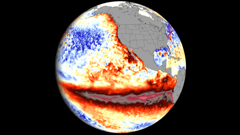 Super El Niño Keeps Growing as New Forecasts Reach Record Territory Ahead of Winter - Severe Weather Europe