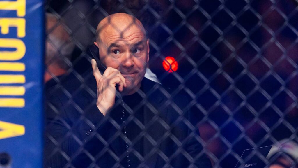 UFC Announces Huge Cyril Gane Title Fight, Kayla Harrison-Amanda Nunes Official - Sports Illustrated