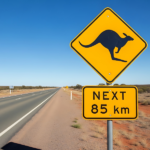 Animal collision season arrives as motor cover downgrades climb - Insurance Business