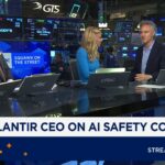 Palantir CEO Alex Karp: AI needs to have 'reasonable guidelines' - CNBC