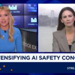 Palantir CEO Alex Karp floats AI nationalization as safety concerns emerge - CNBC