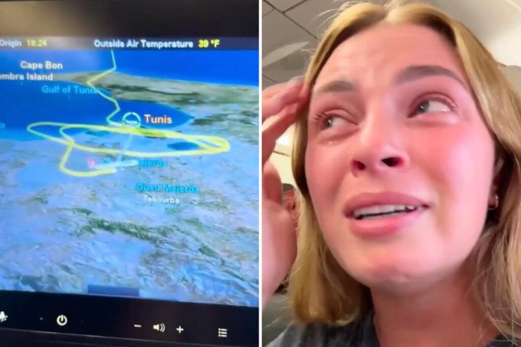 Turkish Airlines flight ‘started to plummet’ after trying to land 3 times during storm: ‘Absolutely terrifying’ - New York Post