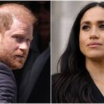 Prince Harry gets interrogated over ‘counterintuitive’ move - The News International