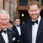 Prince Harry receives stern warning amid ongoing rift with palace - The News International
